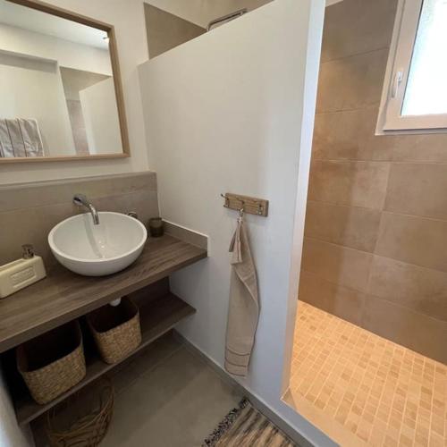 W łazience znajduje się umywalka i prysznic. w obiekcie Charmante maison de village . Saint remy de pce w mieście Saint-Rémy-de-Provence