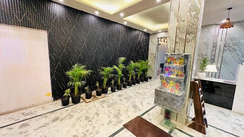 a row of plants against a wall in a lobby at Backpacker - Stay Villa Delhi Airport in New Delhi