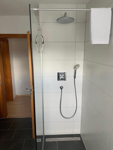 a shower in a bathroom with a glass door at Dell Ferienwohnung in Offenburg