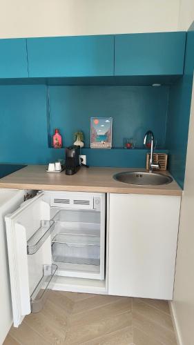 une petite cuisine avec un évier et un comptoir dans l'établissement Studio avec jardin entre Paris Versailles et gares, à Chaville