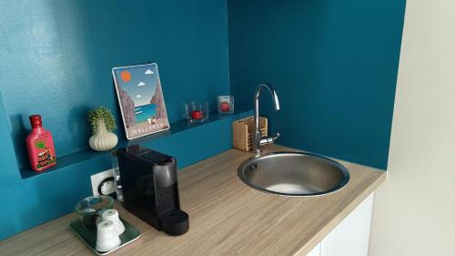 un comptoir de cuisine avec un évier dans un mur bleu dans l'établissement Studio avec jardin entre Paris Versailles et gares, à Chaville