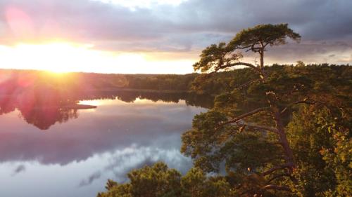 odbicie słońca w jeziorze z drzewami w obiekcie Rytebłota Resort & Spa w mieście Zbiczno