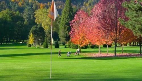 a flag in the middle of a field with trees at Residence du parc in Saint-Martin-dʼUriage