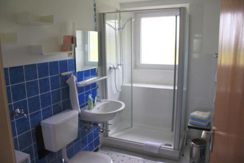 a bathroom with a shower and a toilet and a sink at Haus Loks in Sankt Märgen