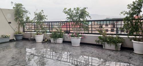 un balcone con un mucchio di piante in vaso di Onset Apartment ad Addis Abeba