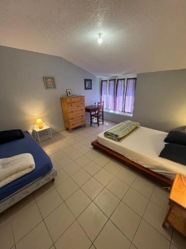 une chambre avec deux lits, une table et une chaise dans l'établissement Le gite d'Aste, à Arrens-Marsous