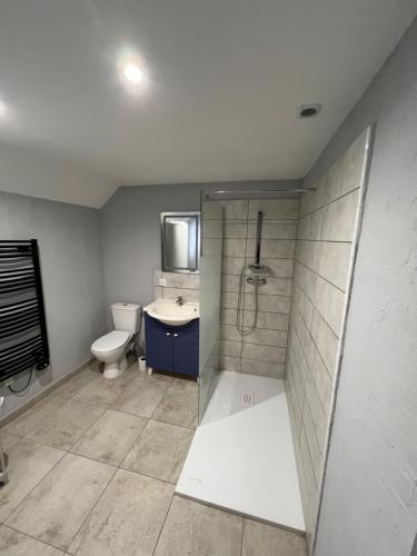 une salle de bain avec une douche, des toilettes et un lavabo dans l'établissement Le gite d'Aste, à Arrens-Marsous