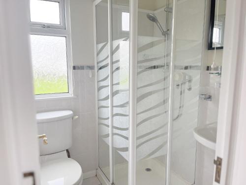 a white bathroom with a shower and a toilet at Peaceful Riverside Lodge in Christchurch