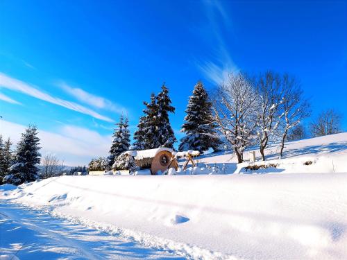 a snow covered field with trees and a fire hydrant at SudoLand Orava in Oravská Lesná