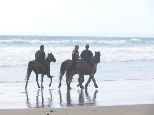 three people are riding horses on the beach at Endless Summer Lodge - Guesthouse in Ahipara