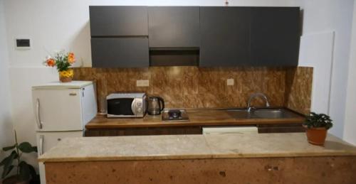 a kitchen with a counter and a sink and a microwave at OldByurakan Villa in Byurakan