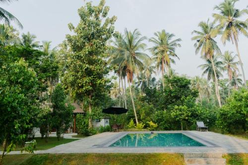 einen Pool in einem Garten mit Palmen in der Unterkunft Tekkawatta in Colombo