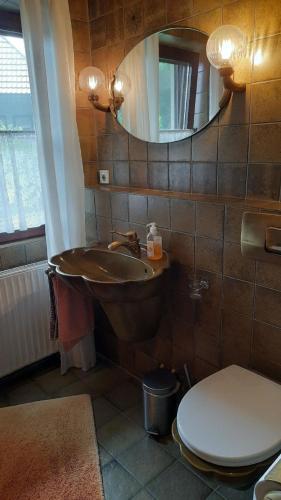 a bathroom with a sink and a toilet and a mirror at Ferienwohnung in Horben mit Großem Garten in Horben