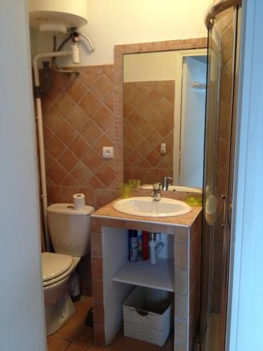 une salle de bain avec un lavabo et des toilettes dans l'établissement Location studio place du marché 4eme étage, à Bastia
