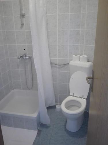 a bathroom with a white toilet and a shower at Adio Mare~Soba~ in Pomena