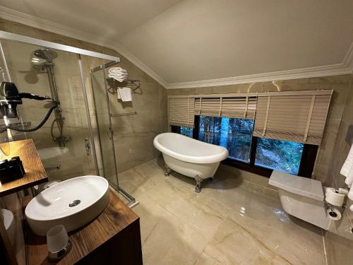 ウルダグにあるKarinna Orman Koskleriのバスルーム(トイレ、洗面台、シャワー付)