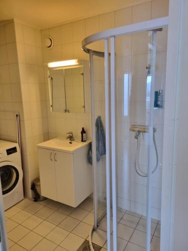 a bathroom with a shower and a sink and a washing machine at Apartment with fantastic seaview in Henningsvær. in Henningsvær