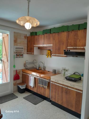 eine Küche mit Holzschränken und einem Waschbecken in der Unterkunft Un logement dans pavillon Pèzenas in Pézenas