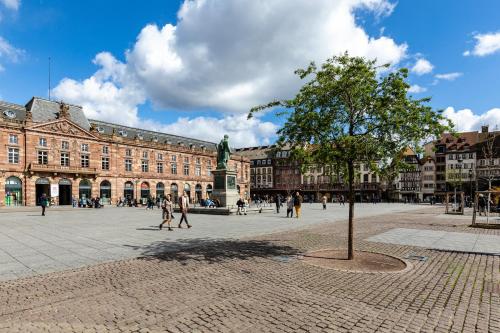 ein Stadtplatz mit einem Baum vor einem Gebäude in der Unterkunft Logement au centre de Strasbourg in Straßburg