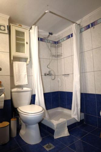 a bathroom with a toilet and a shower at The Seashell apartment in Keramoti