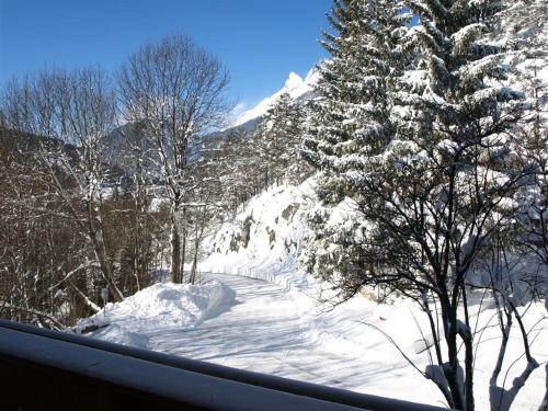 a snow covered slope with trees and a mountain at Gästehaus Helga in Scharnitz