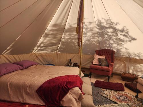 a bedroom with a tent with a bed and a chair at #7 Whole New World in Drumheller