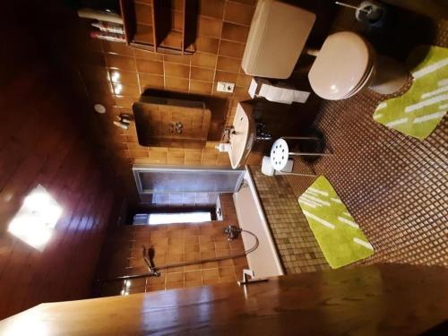 - une salle de bains avec toilettes dans l'établissement Ferienwohnung im Todtnauer Ferienland, à Todtnau