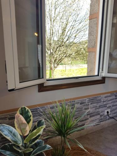 a window in a room with two plants in front of it at Casa La Porriñesa in Porriño