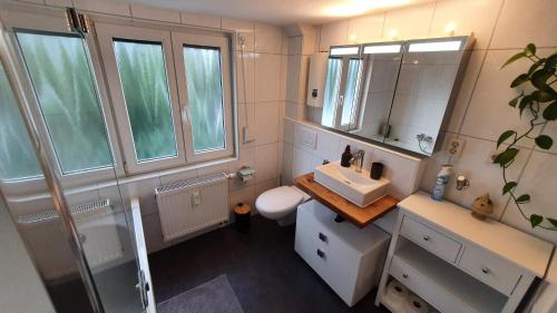 uma casa de banho com um lavatório, um WC e um espelho. em Modern 2.5 Bedroom Duplex Apartment near Messe, Airport, Arena em Dusseldorf