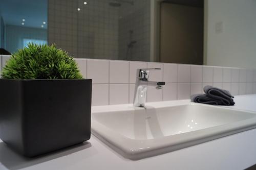 a bathroom sink with a potted plant on a counter at Relax Residence Südsteiermark in Ehrenhausen