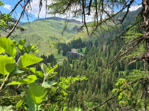 a view of the mountains from the forest at Wellness Hotel Repiska in Demanovska Dolina