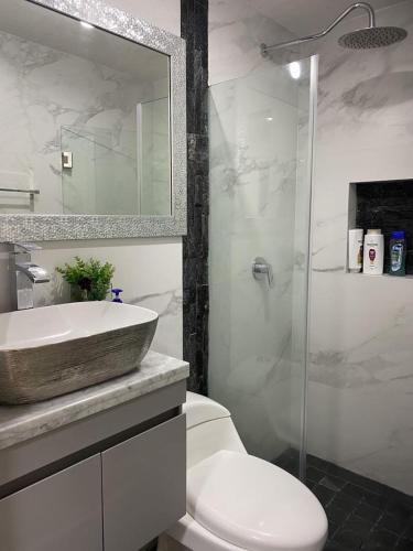 a bathroom with a sink and a toilet and a shower at Casa Orquídea in Guadalajara