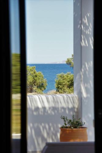a view of the ocean from a window with a plant at Sea breeze houses in Monolithos