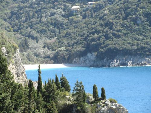 a view of a beach on a hill with trees at Vanilla House Paleokastritsa in Paleokastritsa