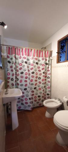a bathroom with a shower curtain with a toilet and a sink at Palmeras Apart Hotel in Chascomús