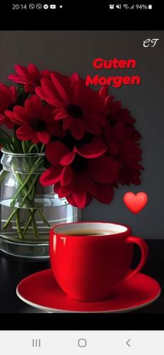 czerwona filiżanka kawy i waza czerwonych kwiatów w obiekcie DUNAV 1 w mieście Smederevo