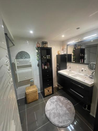 une salle de bain avec un lavabo et un grand miroir dans l'établissement Maison proche JO pour 10/12pers, à Pierrefitte-sur-Seine