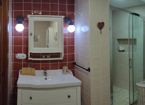 a bathroom with a sink and a shower with a mirror at Casa La Liebrecilla in Ríogordo