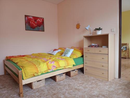 Un pat sau paturi într-o cameră la Útulný byteček v Hejnicích