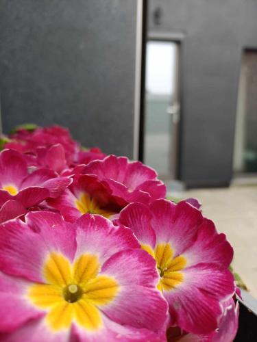 a bunch of pink and yellow flowers in a vase at Le Studio in La Louvière