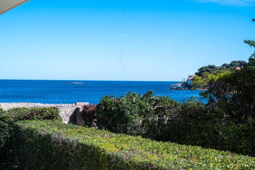 uitzicht op de oceaan vanaf een tuin met struiken bij Antibes Salis - Sea View - 4 People in Antibes