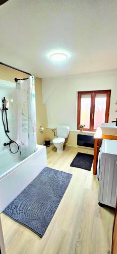 une salle de bain avec douche et toilettes dans l'établissement La casa de Mao, proche d'Europa-park, Rulantica, à Benfeld