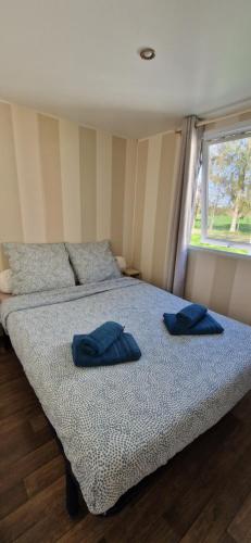 a bedroom with a bed with two blue pillows on it at Mobile home in Boofzheim