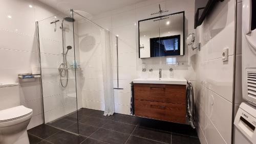 een badkamer met een toilet, een wastafel en een douche bij Bed Op Steeg Vakantiehuis / Bed and Breakfast in De Steeg