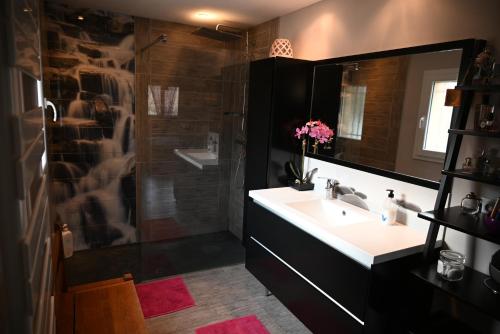 une salle de bain avec un lavabo et une douche dans l'établissement A L'Orée du Bois, à Baron