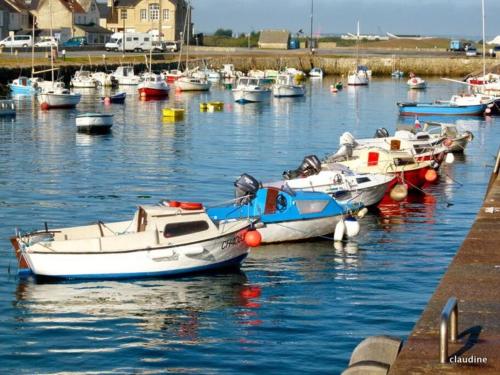 a group of boats are docked in a harbor at Maison vue mer chez Aline in Digosville