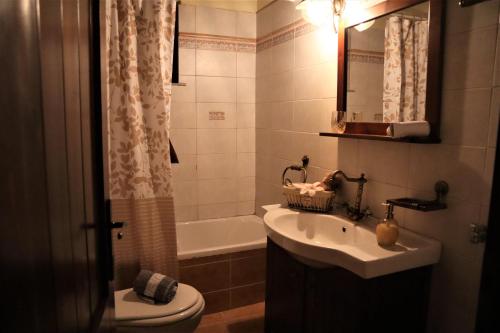 帕雷斯阿吉薩那的住宿－Gaea Mont Chalet，浴室配有盥洗盆、卫生间和浴缸。