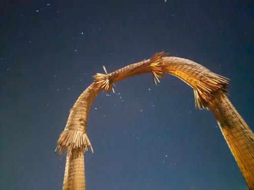 two tall palm trees with the sky in the background at Sol del TITICACA lodge in Uros