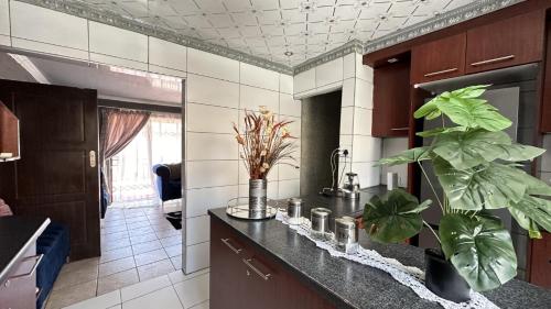 a kitchen with a counter with plants on it at Nyasa Guest Home in Johannesburg in Johannesburg