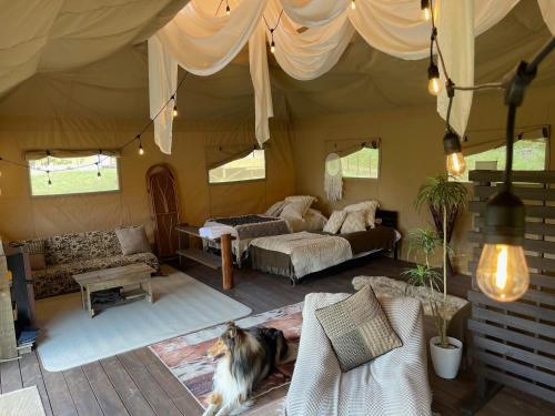 uma sala de estar com uma tenda com um cão em Camp inn Kiyosato GRANDEUR - Vacation STAY 42081v em Hokuto